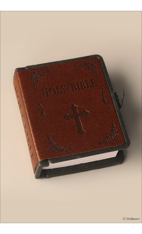 HOLY  Precious Bible (Brown) 바이블 성경