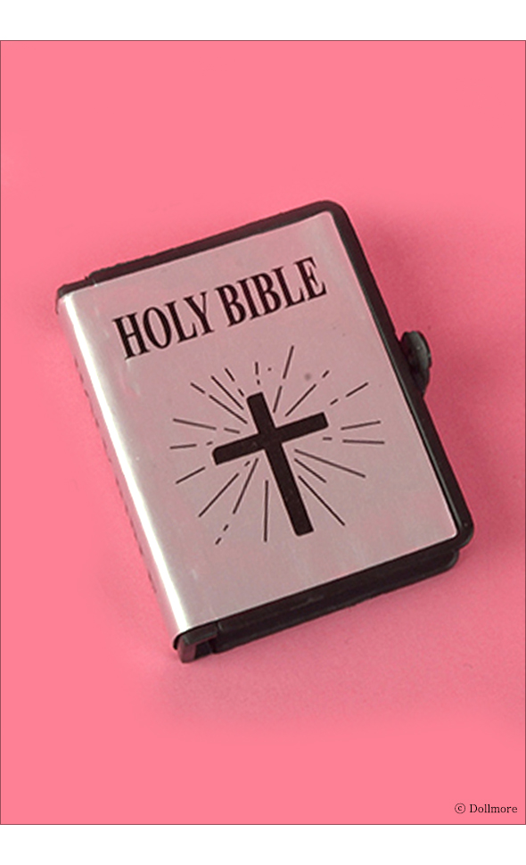 Precious Bible (Silver)