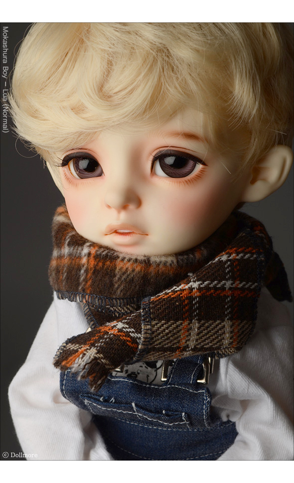 Model & MSD - Chrono Check Woolen Muffler (Brown)