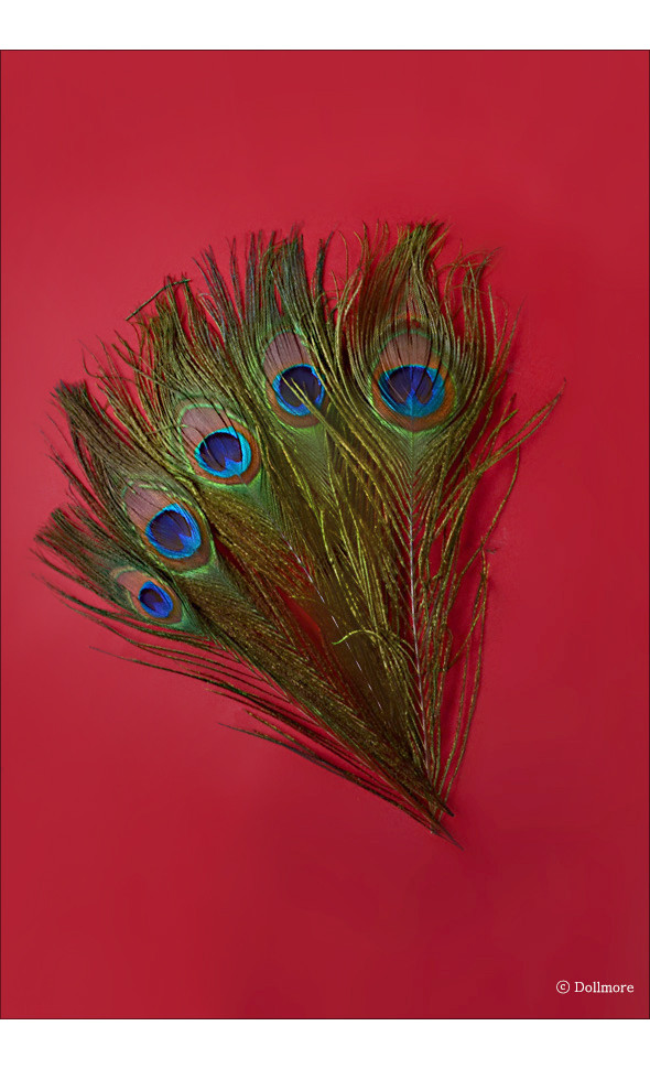 Natural Peacock Tail Eyes Feathers (공작깃털)
