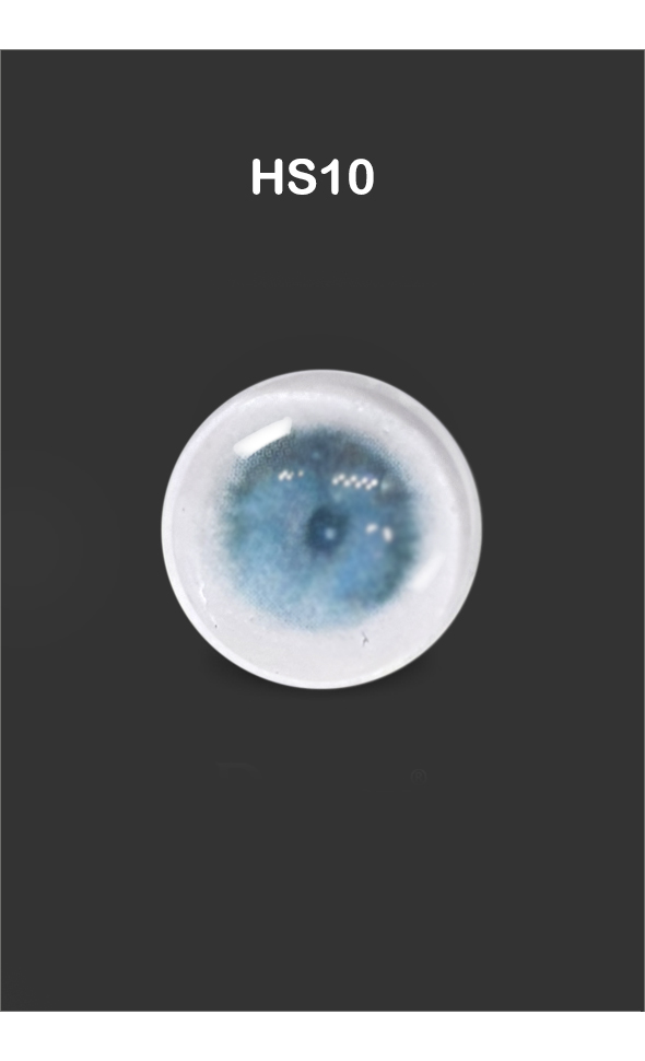 12mm Painting Flat Round Glass Eyes (HS10)