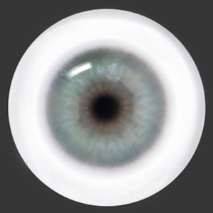 12mm Painting Flat Round Glass Eyes (UD01)