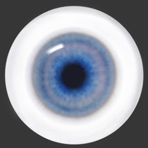 12mm Painting Flat Round Glass Eyes (UD02)