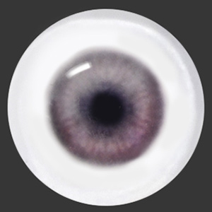 12mm Painting Flat Round Glass Eyes (UD03)