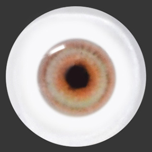 12mm Painting Flat Round Glass Eyes (UD04)
