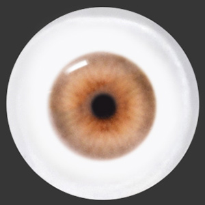 12mm Painting Flat Round Glass Eyes (UD07)