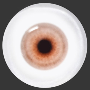 12mm Painting Flat Round Glass Eyes (UD08)