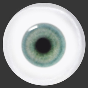 12mm Painting Flat Round Glass Eyes (UD10)