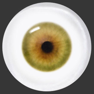 12mm Painting Flat Round Glass Eyes (UD11)
