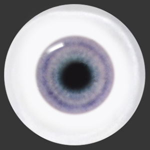 12mm Painting Flat Round Glass Eyes (UD12)
