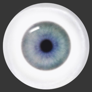 12mm Painting Flat Round Glass Eyes (UD13) 