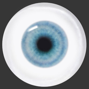 12mm Painting Flat Round Glass Eyes (UD14-1) 