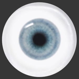 12mm Painting Flat Round Glass Eyes (UD14-2)  