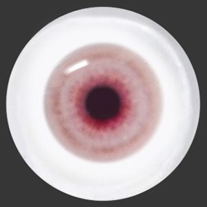 12mm Painting Flat Round Glass Eyes (UD15)  