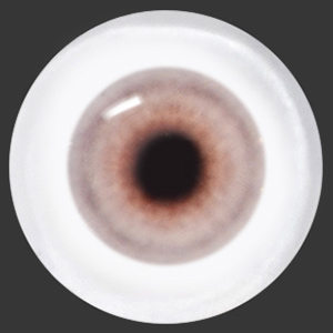 12mm Painting Flat Round Glass Eyes (UD16)