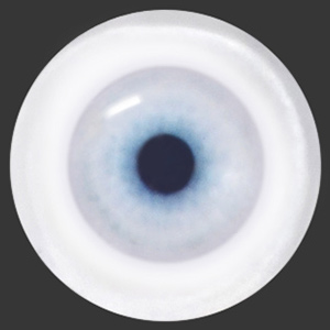 12mm Painting Flat Round Glass Eyes (UD17)