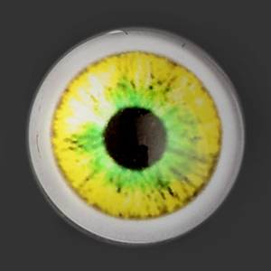 12mm - Omga Flat Round Glass Eyes (VE08)