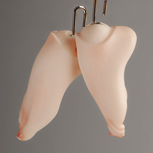 Dollmore Kid Feet Set - Ballerina Feet Set (Normal)