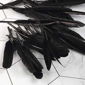 Chicken Feather (Black / 50Piece)