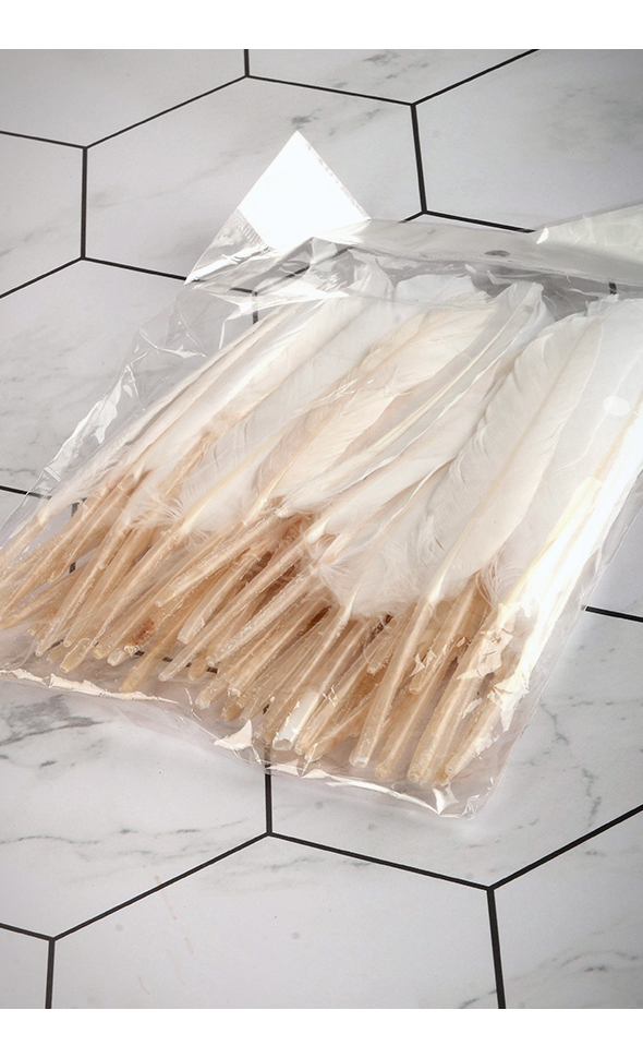 Chicken Feather (White / 50Piece)