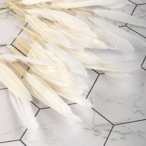 Chicken Feather (White / 50Piece)
