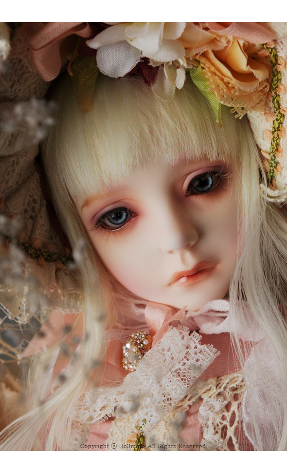 Alex Doll - Pink Sucre ; Alexia - LE10