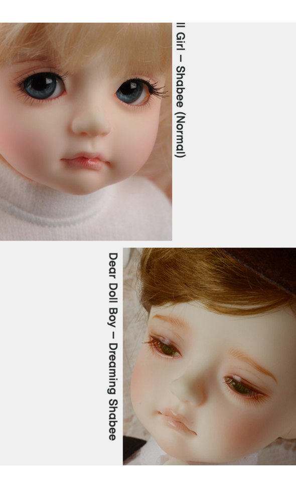 Dollmore Dear Doll Head - Shabee