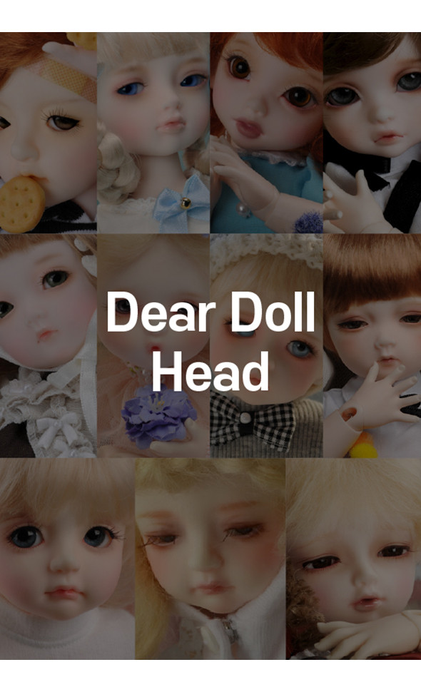 [All] Dollmore Dear Doll Basic Head