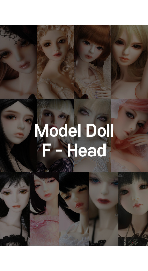 [All] Dollmore Model Doll F Head