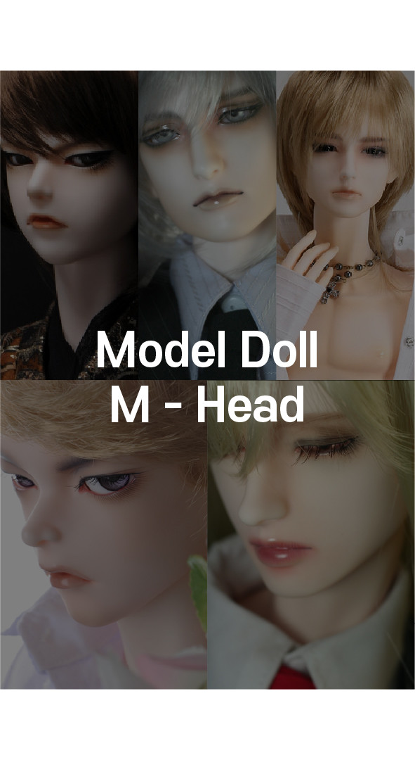 [All] Dollmore Model Doll M Head