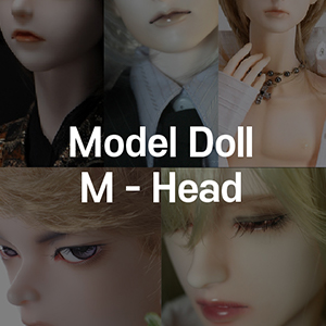 [All] Dollmore Model Doll M Head