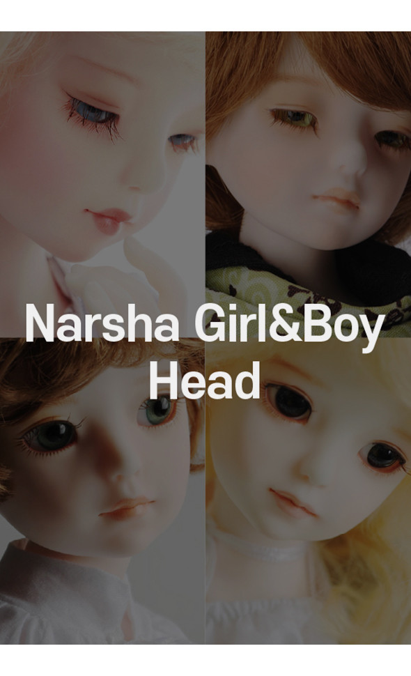 [All] Dollmore Narsha Doll Basic Head