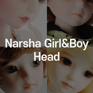 [All] Dollmore Narsha Doll Basic Head