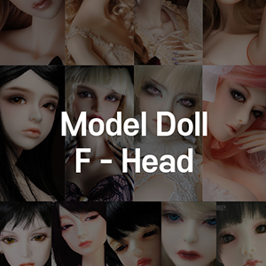 [All] Dollmore Model Doll F Head