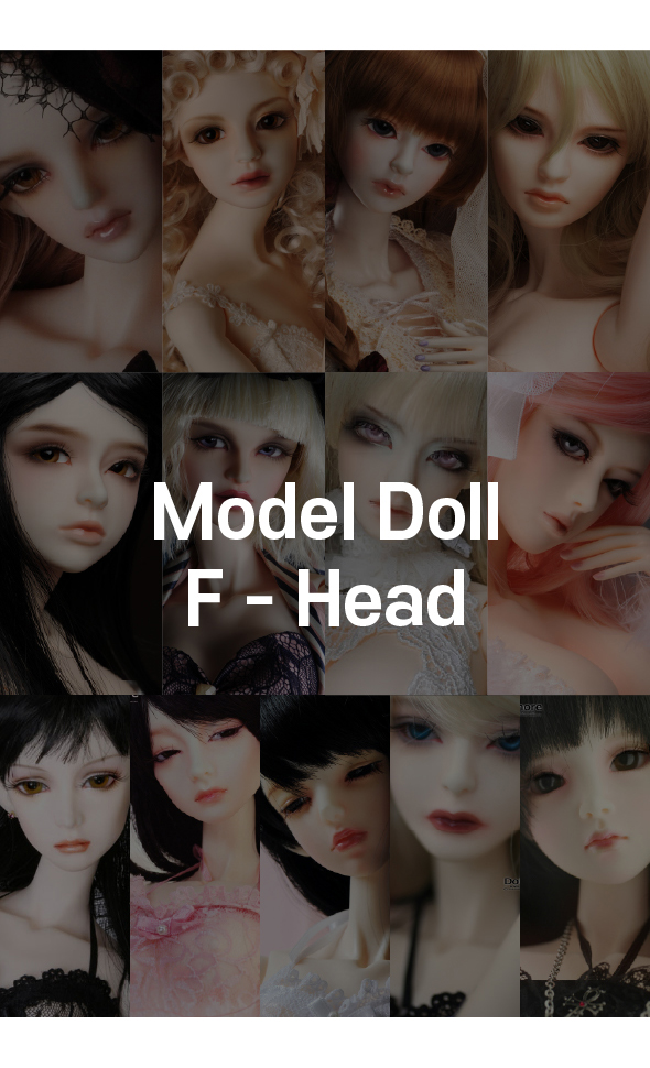 [All] Dollmore Model Doll F Head