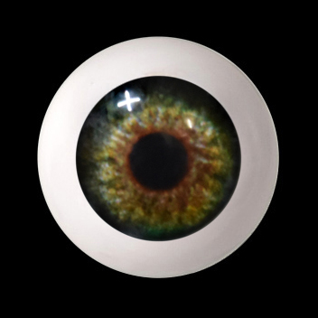 12mm - Half Round Acrylic Eyes (EB-21)