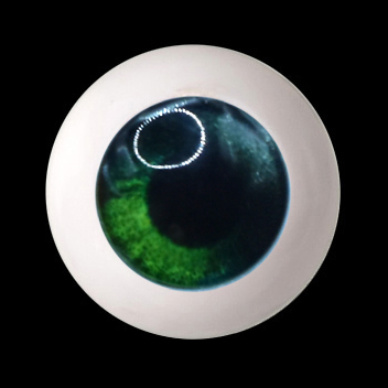 12mm - Half Round Acrylic Eyes (QD-11)