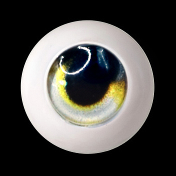 12mm - Half Round Acrylic Eyes (QD-03)